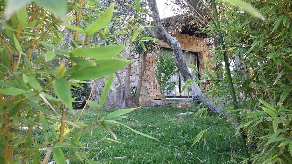 Tenuta Terenzano Torre San Giovanni Exterior foto